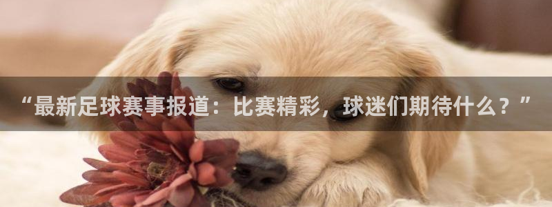 沙巴官网体育