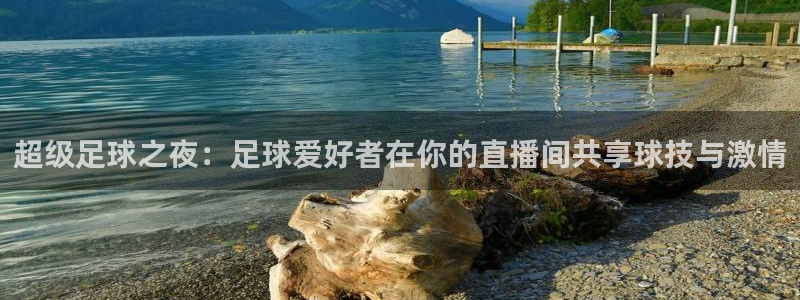 袋鼠体育直播足球：超级足球之夜：足球爱好者在你的直播间共享球技与激情