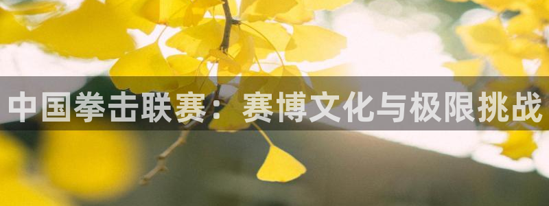 袋鼠直播体育直播入口：中国拳击联赛：赛博文化与极限挑战