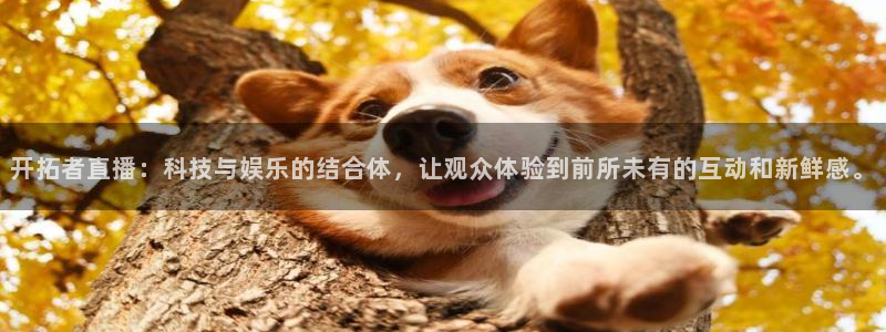 袋鼠nba直播在线观看：开拓者直播：科技与娱乐的结合体，让观众体验到前所未有的互动和新鲜感。