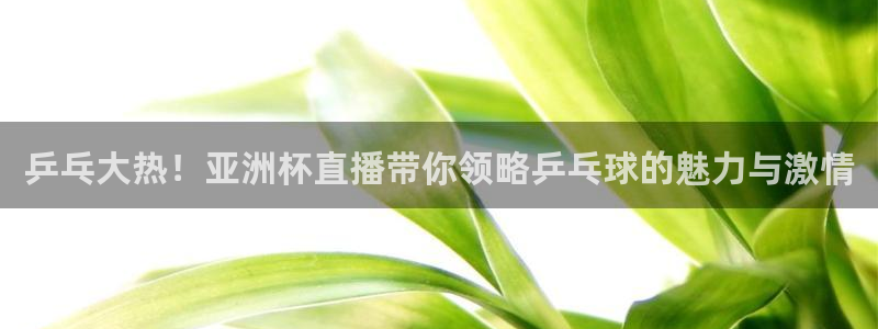 袋鼠体育直播app：乒乓大热！亚洲杯直播带你领略乒乓球的魅力与激情