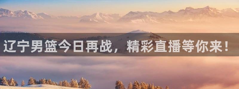 袋鼠直播体育免费直播：辽宁男篮今日再战，精彩直播等你来！
